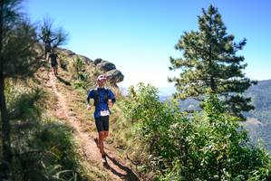 BIB: 
                            <button type="button" onclick="openModal(26602402)" class="btn btn-primary btn-sm float-right btn-popup" data-toggle="modal" data-target=".modal-high-quality">
                        <i class="fas fa-shopping-cart"></i> Add to Cart
                    </button>
                                            <button type="button" onclick="isThisMe(26602402, true)" class="btn btn-success btn-sm float-right btn-popup btn-isme hidden" data-toggle="tooltip" data-placement="bottom" title="นี่คือรูปของคุณใช่ไหม คลิกที่นี่เพื่อเอาเข้าอัลบั้ม">
                        <i class="fas fa-plus"></i> Add to album
                    </button>
                    <button type="button" onclick="isThisMe(26602402, false)" class="btn btn-warning btn-sm float-right btn-popup btn-isnotme hidden">
                        <i class="fas fa-ban"></i> Remove from album
                    </button>